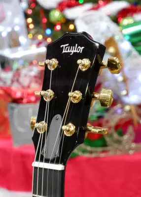 Taylor Guitars - T5z Custom Koa - Shaded Edge Burst 2